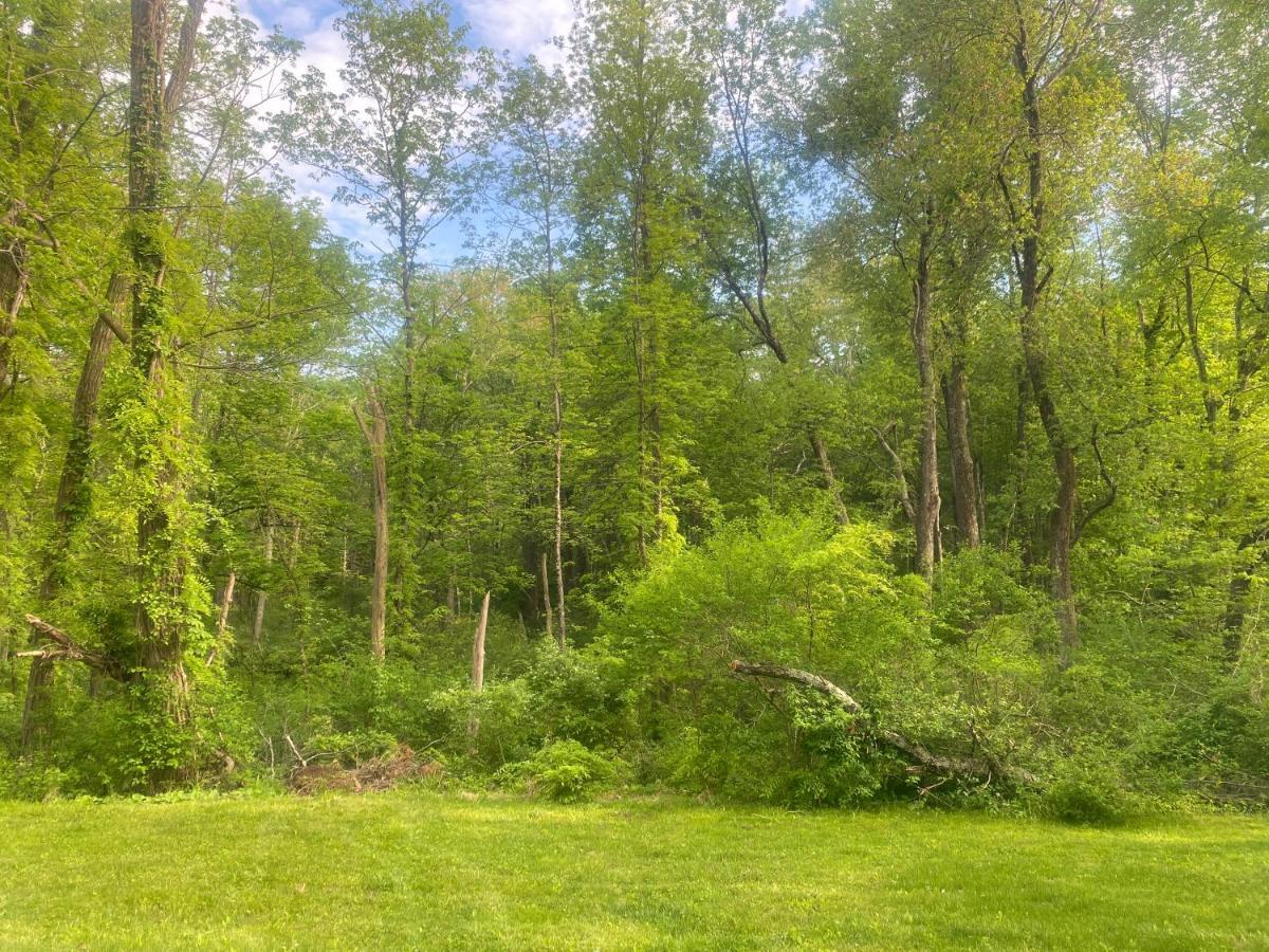 Newly Renovated 3Br Hudson Valley House Ulster Park Εξωτερικό φωτογραφία
